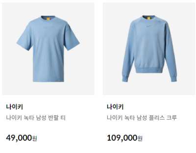 나이키 녹타