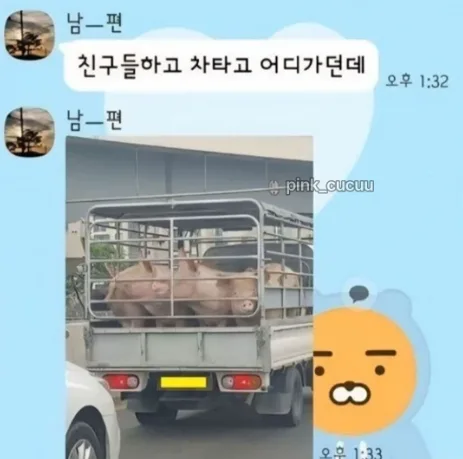 업로드 이미지