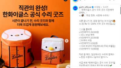 한화이글스 수리 굿즈