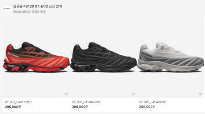 살로몬 xt-에보