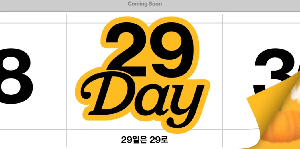 29cm 29데이