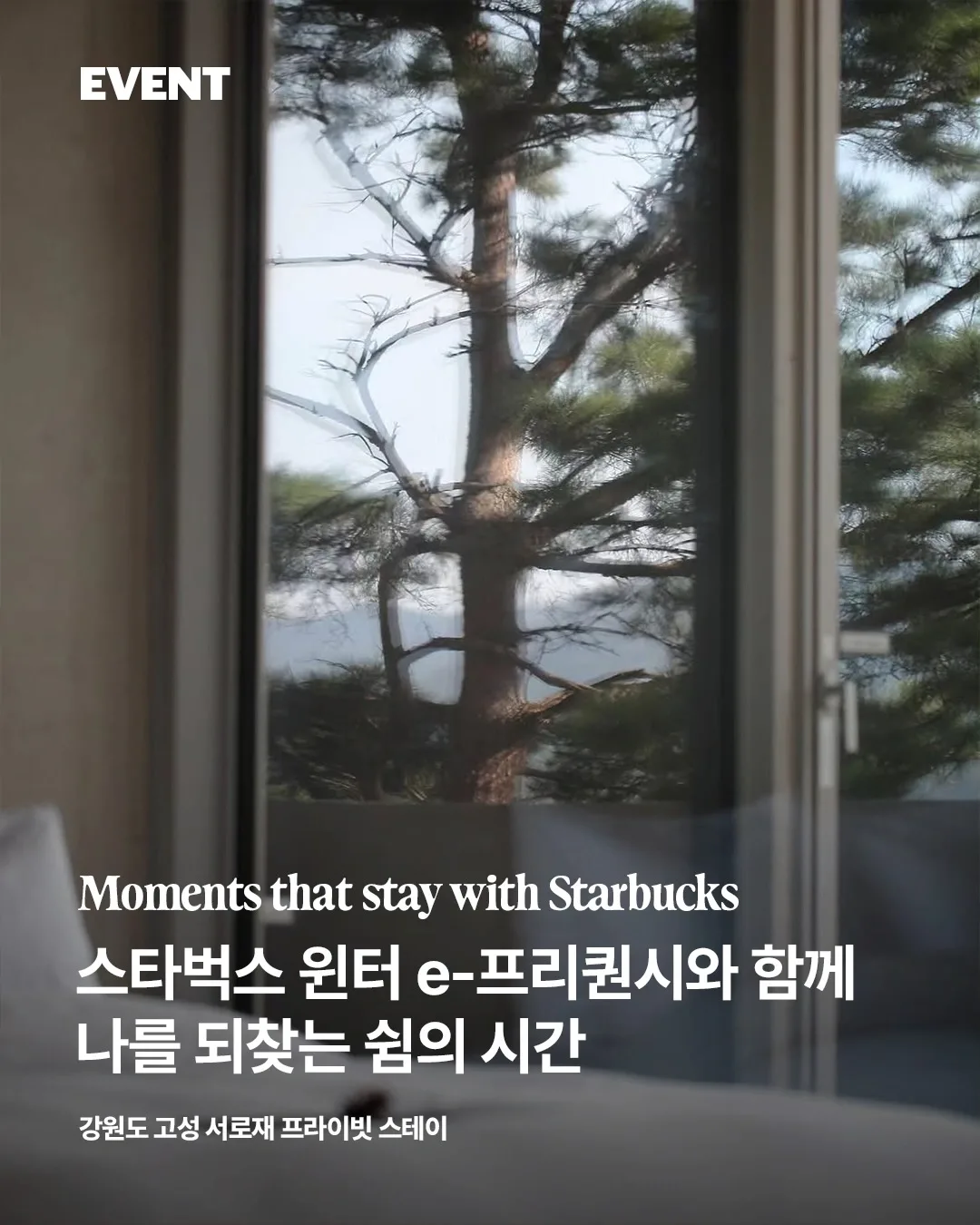 스타벅스 e프리퀀시 + @ 이벤트