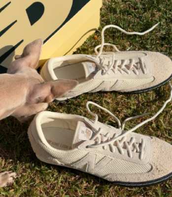 Aimé Leon Dore x New Balance ’Gator Run‘